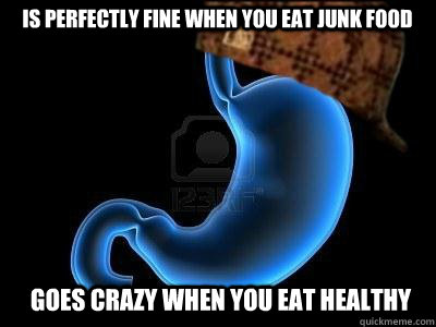 is perfectly fine when you eat junk food goes crazy when you eat healthy  Scumbag Stomach