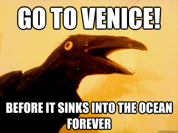 go to venice! before it sinks into the ocean forever - go to venice! before it sinks into the ocean forever  Creepy Wisdom Crow