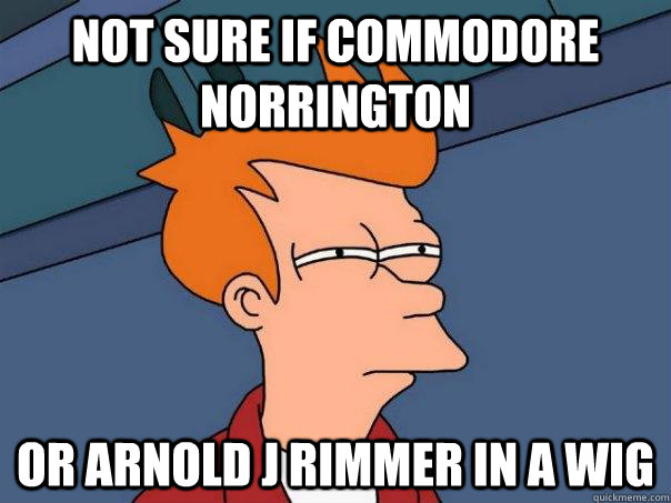 Not sure if Commodore Norrington Or Arnold J Rimmer in a wig  Futurama Fry