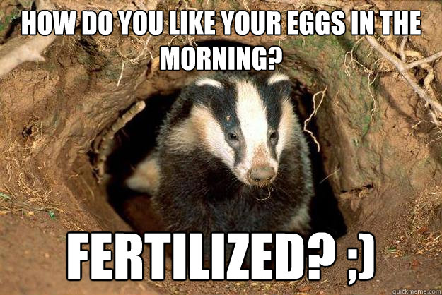 How do you like your eggs in the morning? Fertilized? ;) - How do you like your eggs in the morning? Fertilized? ;)  Sexual innuendo Badger