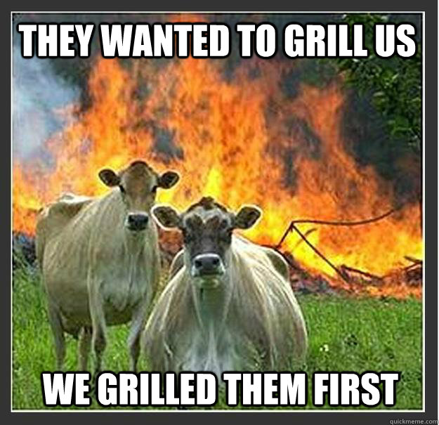 They wanted to grill us We grilled them first   Evil cows