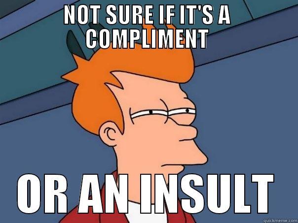 NOT SURE IF IT'S A COMPLIMENT OR AN INSULT Futurama Fry