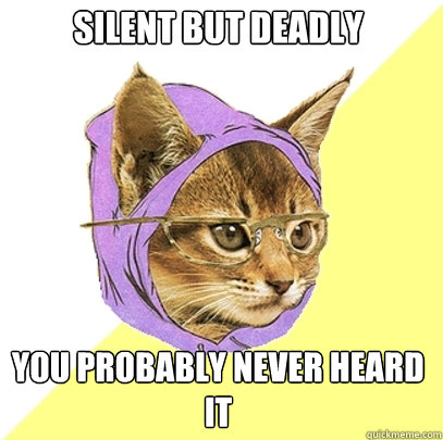 Silent but deadly you probably never heard it  Hipster Kitty