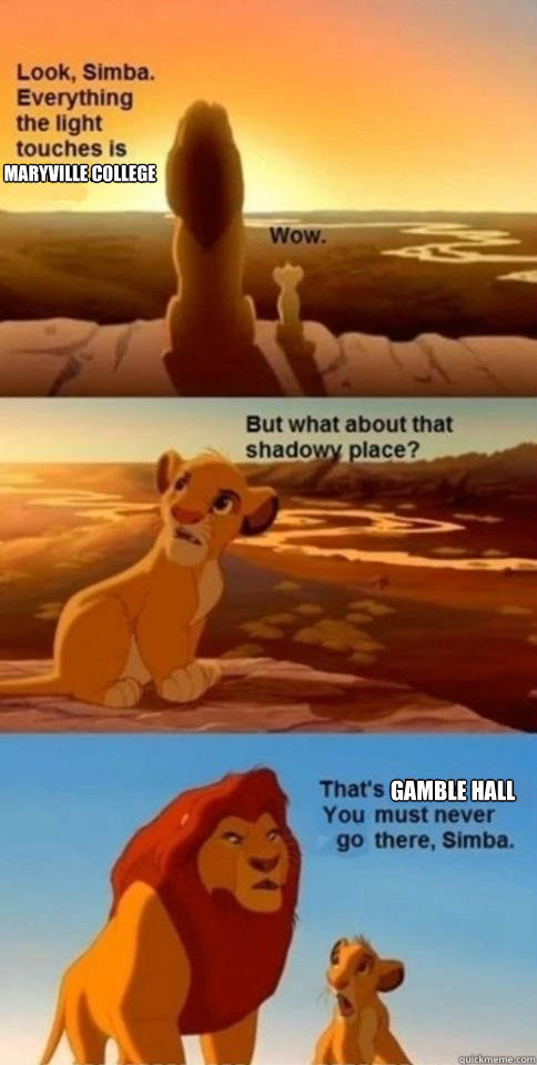 Maryville College Gamble Hall    Everything the Light Touches