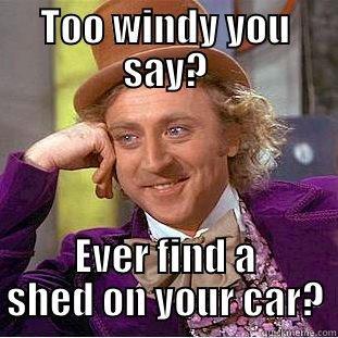 TOO WINDY YOU SAY? EVER FIND A SHED ON YOUR CAR? Condescending Wonka