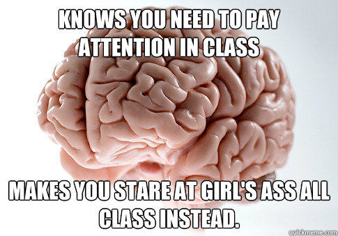 Knows you need to pay attention in class Makes you stare at girl's ass all class instead.  Scumbag Brain