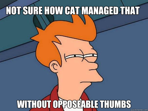 Not sure how cat managed that without opposeable thumbs  Futurama Fry