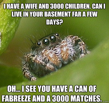 I have a wife and 3000 children. can i live in your basement far a few days? Oh... i see you have a can of fabreeze and a 3000 matches.  Misunderstood Spider