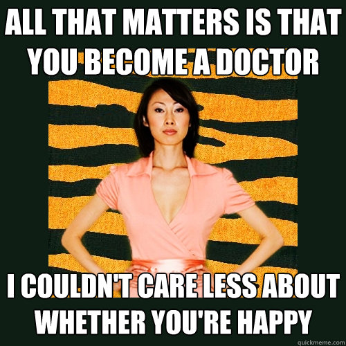 all that matters is that you become a doctor I couldn't care less about whether you're happy  Tiger Mom