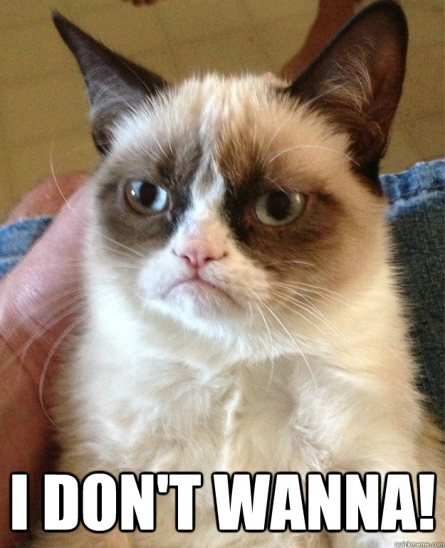  I Don't Wanna!  Grumpy Cat