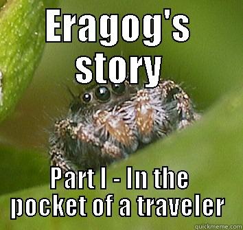 Eragog's story  - ERAGOG'S STORY PART I - IN THE POCKET OF A TRAVELER  Misunderstood Spider