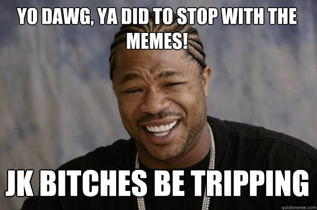 YO DAWG, YA DID TO STOP WITH THE MEMES! JK BITCHES BE TRIPPING  Xzibit meme