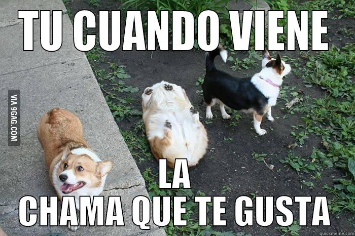 I Forgot how 2 Dog - TU CUANDO VIENE LA CHAMA QUE TE GUSTA Misc