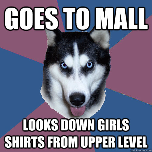 Goes to mall looks down girls shirts from upper level  Creeper Canine