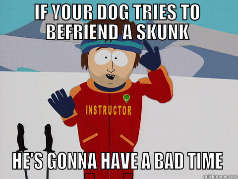 IF YOUR DOG TRIES TO BEFRIEND A SKUNK HE'S GONNA HAVE A BAD TIME Bad Time