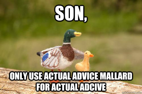 Son, Only use actual advice mallard for actual adcive - Son, Only use actual advice mallard for actual adcive  Fatherly Advice Mallard