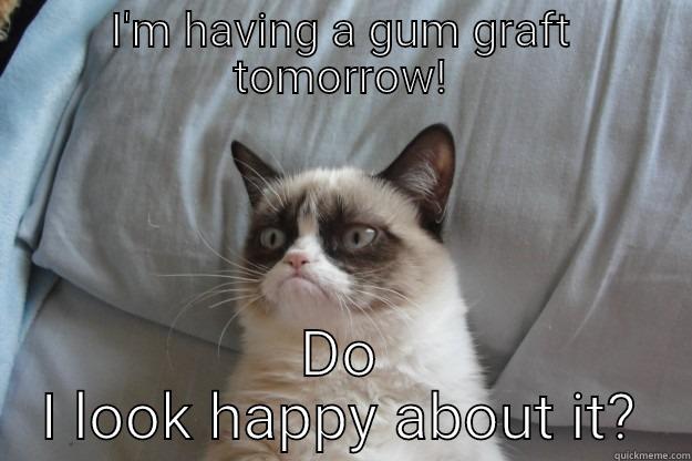 I'M HAVING A GUM GRAFT TOMORROW! DO I LOOK HAPPY ABOUT IT? Grumpy Cat