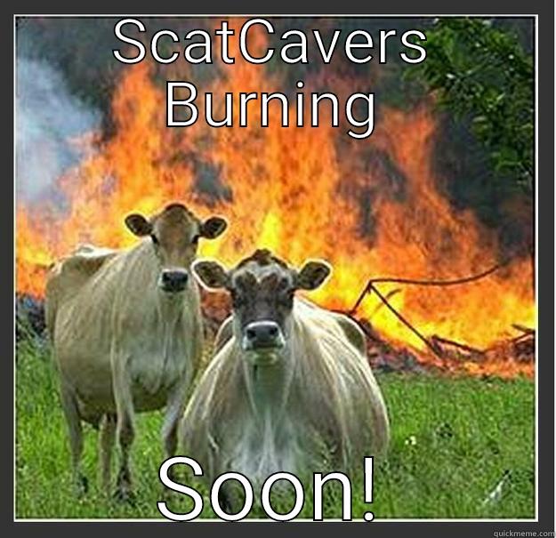 SCATCAVE BURNING SOON! Evil cows