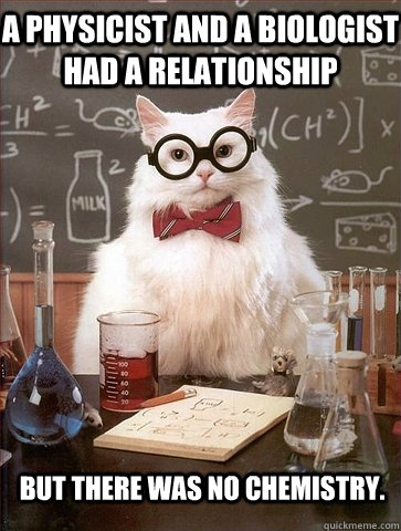 A physicist and a biologist had a relationship but there was no chemistry. - A physicist and a biologist had a relationship but there was no chemistry.  Chemistry Cat