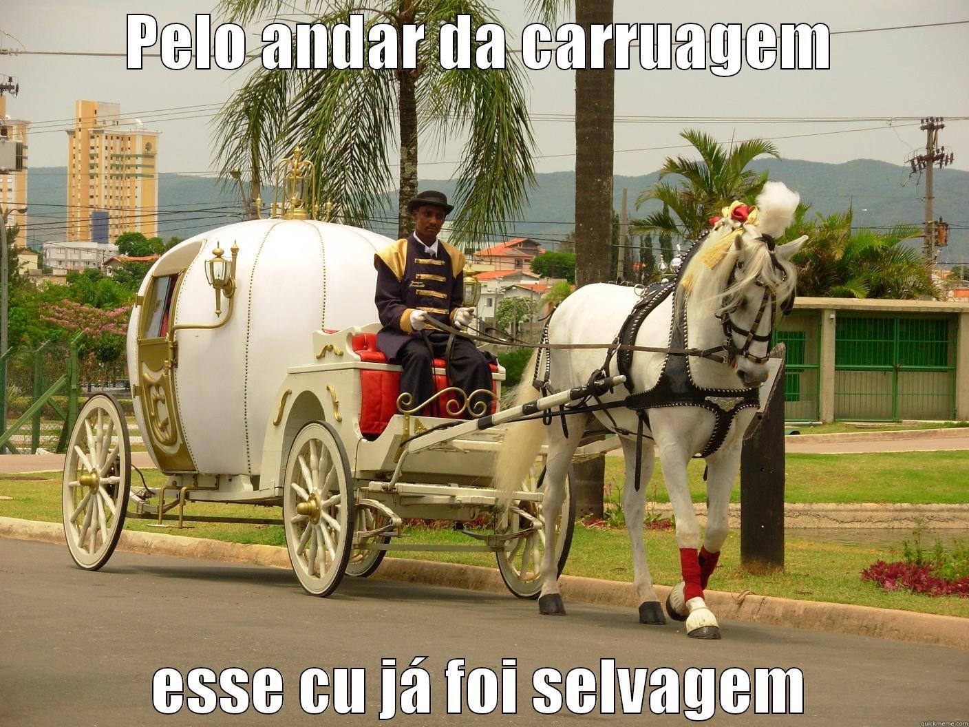 PELO ANDAR DA CARRUAGEM ESSE CU JÁ FOI SELVAGEM Misc