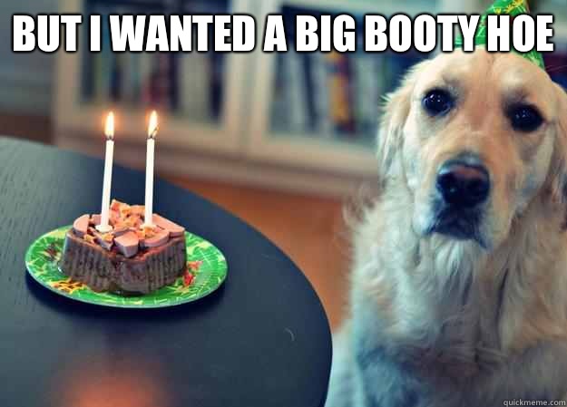 But I wanted a big booty hoe   Sad Birthday Dog