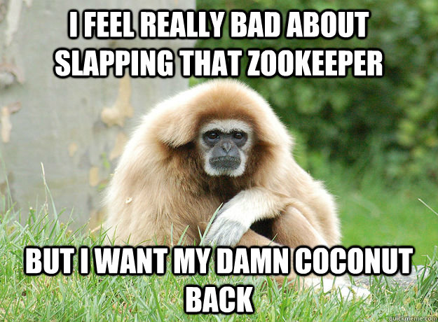 I feel really bad about slapping that zookeeper but I want my damn coconut back - I feel really bad about slapping that zookeeper but I want my damn coconut back  Misc