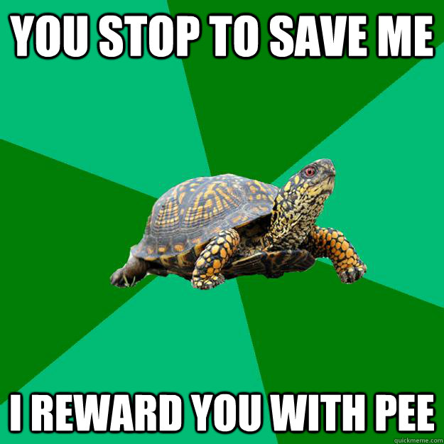 You stop to save me I reward you with pee - You stop to save me I reward you with pee  Torrenting Turtle