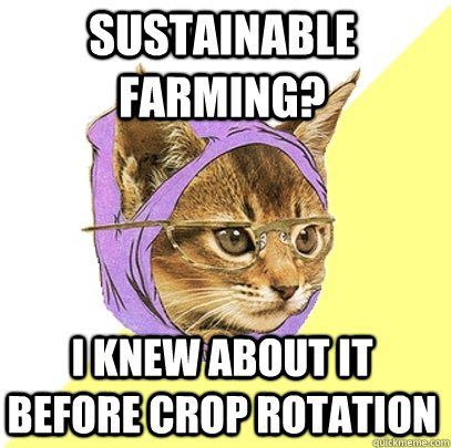 Sustainable farming? i knew about it before crop rotation - Sustainable farming? i knew about it before crop rotation  Hipster Kitty