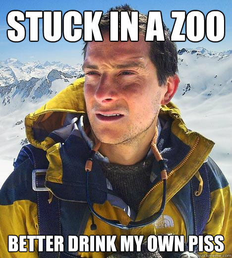 stuck in a zoo better drink my own piss  Bear Grylls