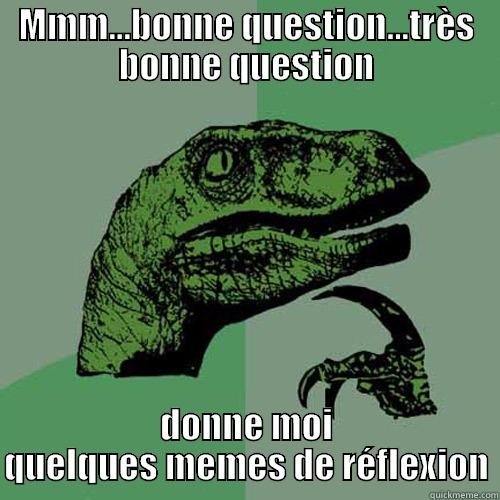 MMM...BONNE QUESTION...TRÈS BONNE QUESTION DONNE MOI QUELQUES MEMES DE RÉFLEXION Philosoraptor