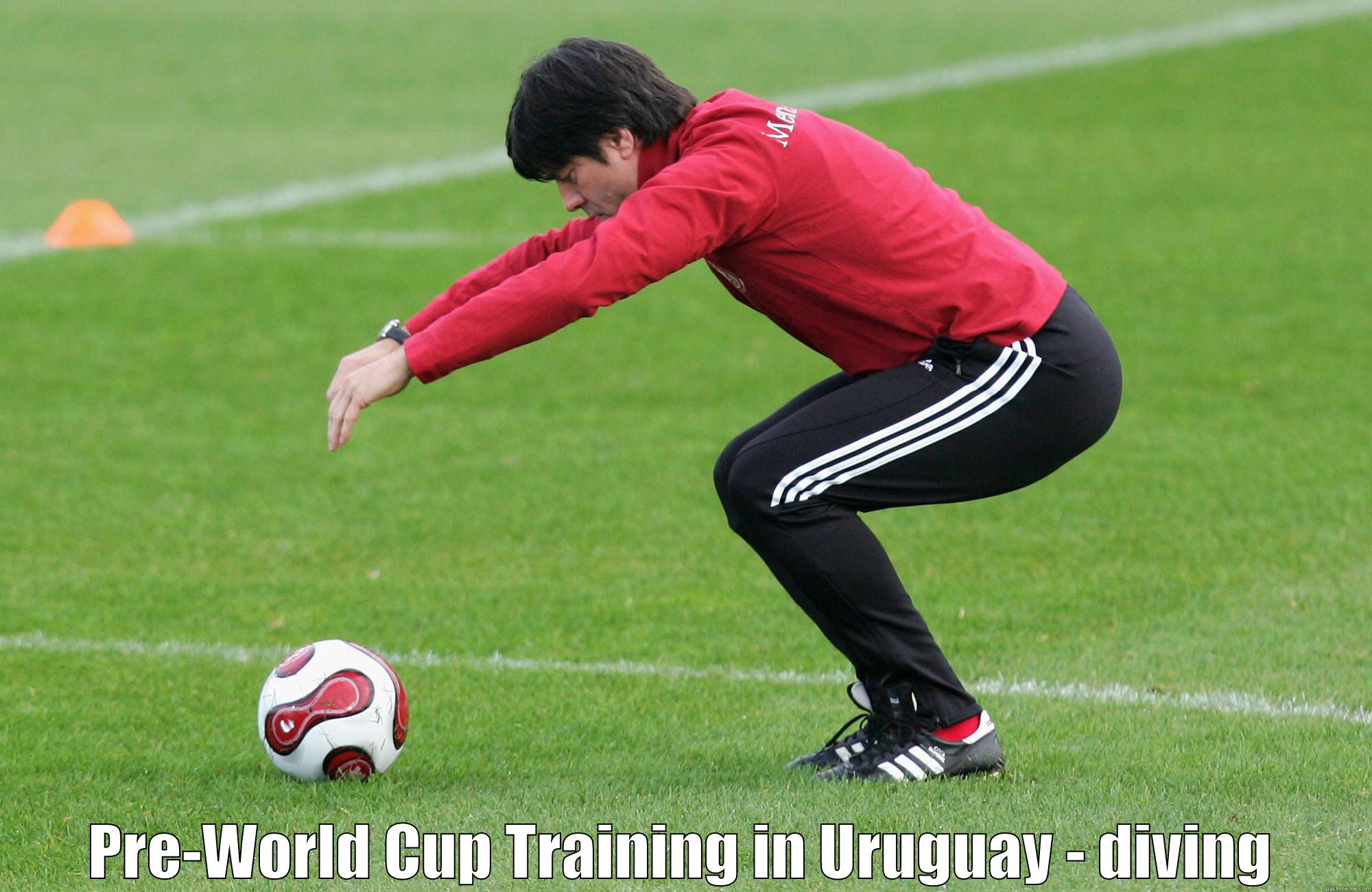 World Cup 2014 -   PRE-WORLD CUP TRAINING IN URUGUAY - DIVING Misc