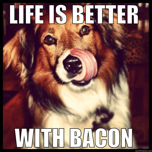 Happy Dog likes bacon - LIFE IS BETTER WITH BACON Misc