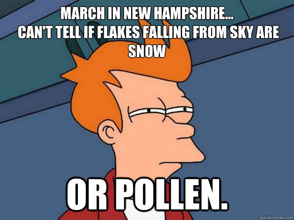 march in new hampshire...
 can't tell if flakes falling from sky are snow or pollen.   Futurama Fry