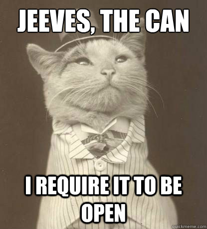 Jeeves, the can I require it to be open  Aristocat