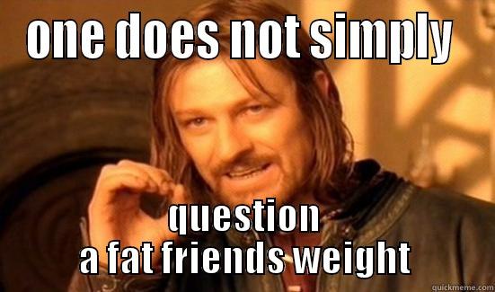 ONE DOES NOT SIMPLY  QUESTION A FAT FRIENDS WEIGHT Boromir