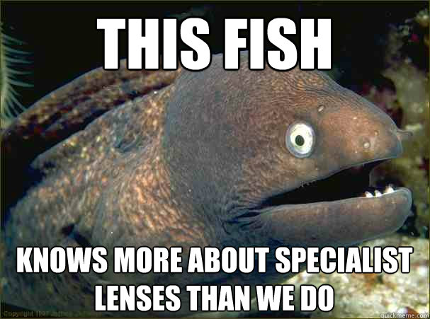 This fish Knows more about specialist lenses than we do  Bad Joke Eel