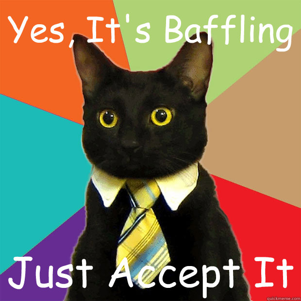 Yes, It's Baffling Just Accept It  Business Cat