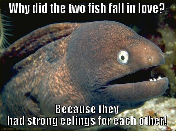 WHY DID THE TWO FISH FALL IN LOVE? BECAUSE THEY HAD STRONG EELINGS FOR EACH OTHER! Bad Joke Eel