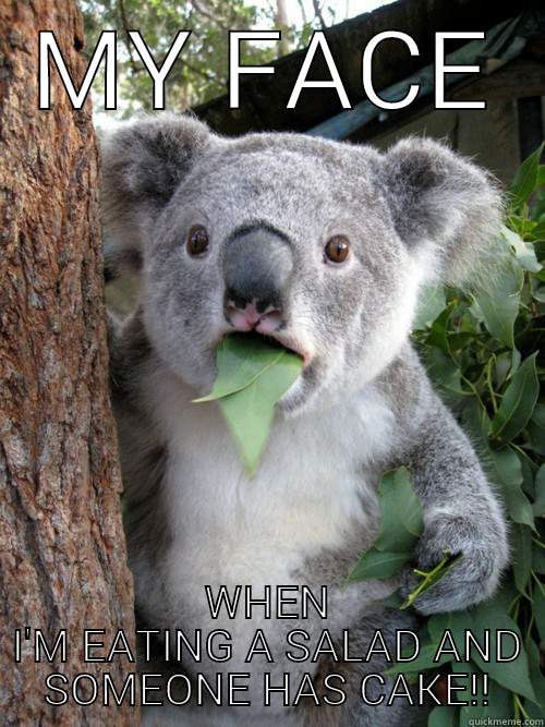 MY FACE WHEN I'M EATING A SALAD AND SOMEONE HAS CAKE!! koala bear