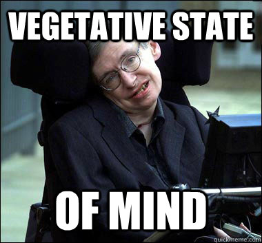 vegetative state of mind  Stephen Hawking