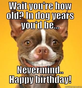 Dog years - WAIT YOU'RE HOW OLD? IN DOG YEARS YOU'D BE... NEVERMIND.. HAPPY BIRTHDAY! Good Dog Greg