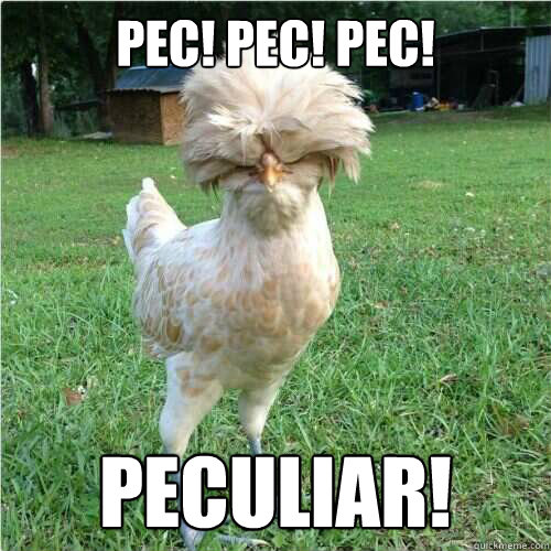 Pec! Pec! Pec! Peculiar!  PECULIAR CHICKEN