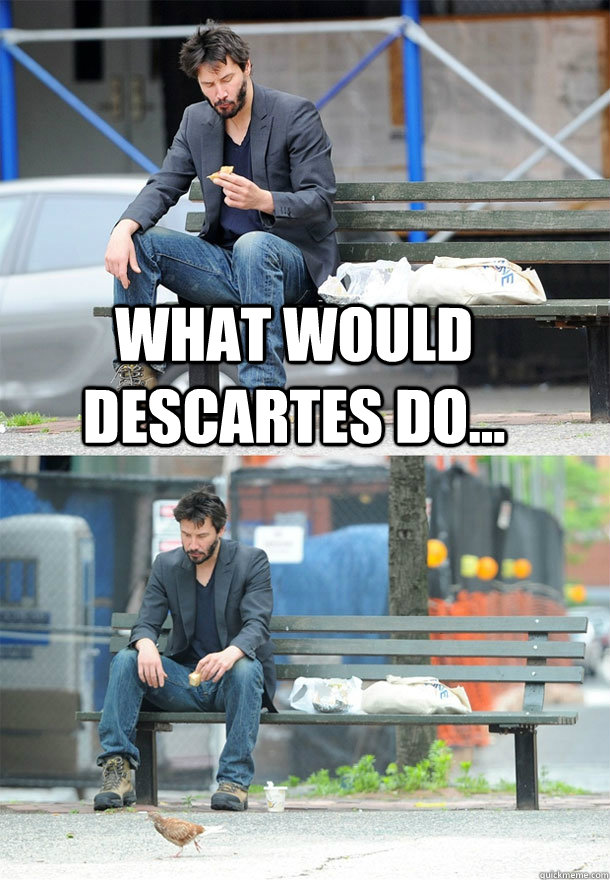 What would Descartes do...   Sad Keanu