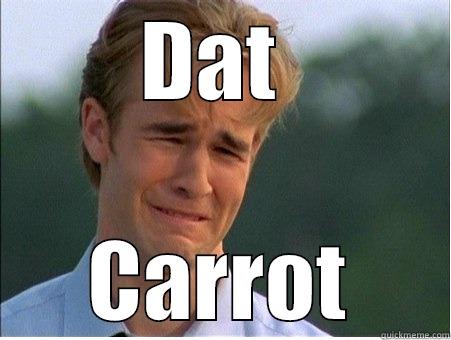 DAT  CARROT 1990s Problems