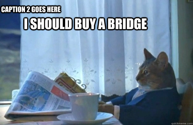 I should buy a bridge  Caption 2 goes here - I should buy a bridge  Caption 2 goes here  Sophisticated Cat