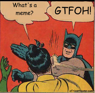 What's a meme? GTFOH!
 africartoons.com  Slappin Batman