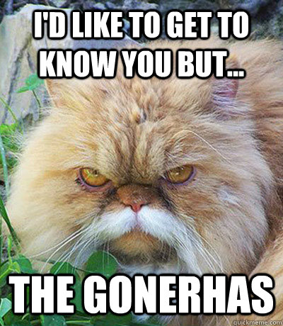 I'd like to get to know you but... THE GONERHAS  Diabeetus Cat