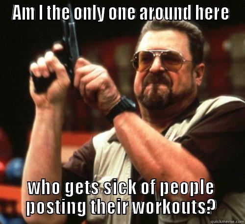 AM I THE ONLY ONE AROUND HERE WHO GETS SICK OF PEOPLE POSTING THEIR WORKOUTS? Am I The Only One Around Here