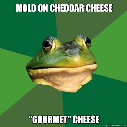 Mold on Cheddar cheese 