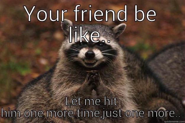 When you stop a fight - YOUR FRIEND BE LIKE.. LET ME HIT HIM ONE MORE TIME,JUST ONE MORE.. Evil Plotting Raccoon